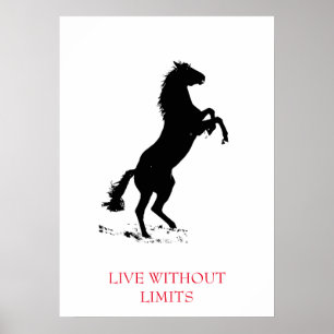 Svartvit Motivational Horse Levande utan gränser Poster