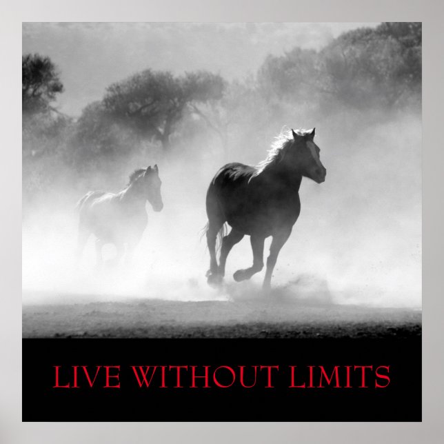 Svartvit Motivational Horse Levande utan gränser Poster (Framsidan)