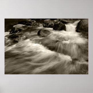 Svartvit och Whitewash Poster