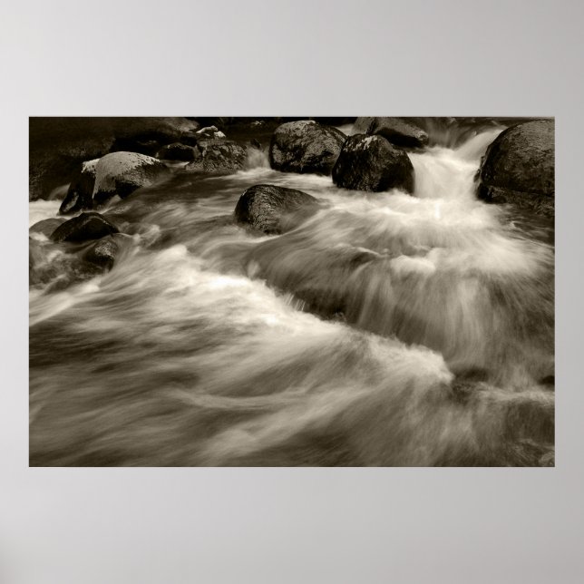Svartvit och Whitewash Poster (Framsidan)
