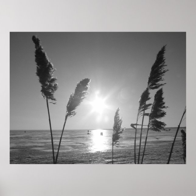 Svartvit ogräs poster (Framsidan)