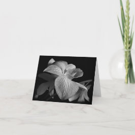 Svartvit Orchid-anteckningskort Kort
