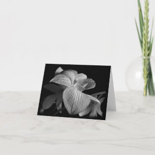 Svartvit Orchid-anteckningskort Kort