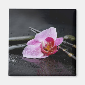Svartvit orchid magnet