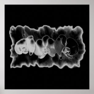 Svartvit, orchid-målartrippy-blommigt poster