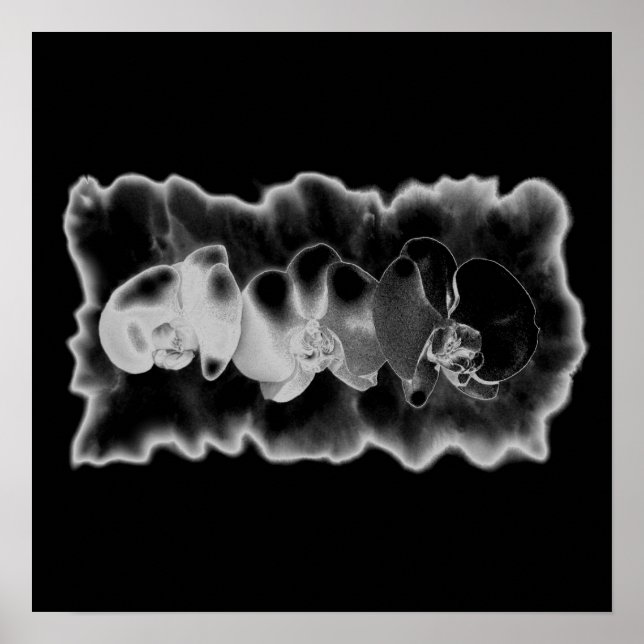 Svartvit, orchid-målartrippy-blommigt poster (Framsidan)