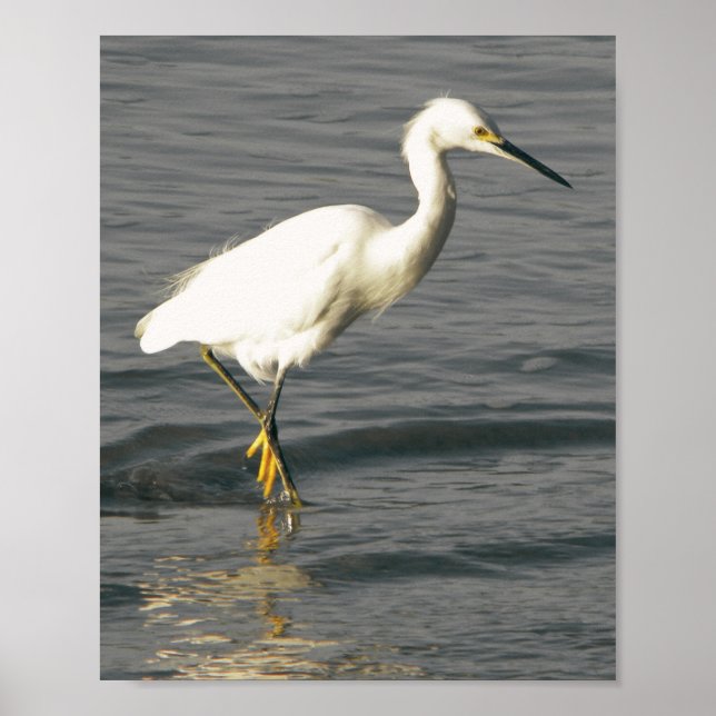 Svartvit öron Tropical Printable Art Poster (Framsidan)