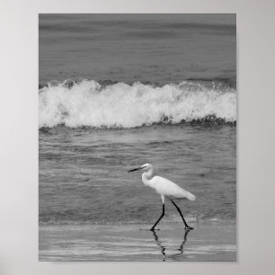 Svartvit öron Tropical Printable Art Poster