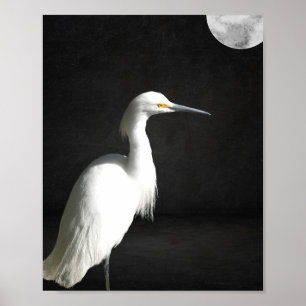 Svartvit öron Tropical Printable Art Poster