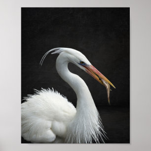 Svartvit öron Tropical Printable Art Poster