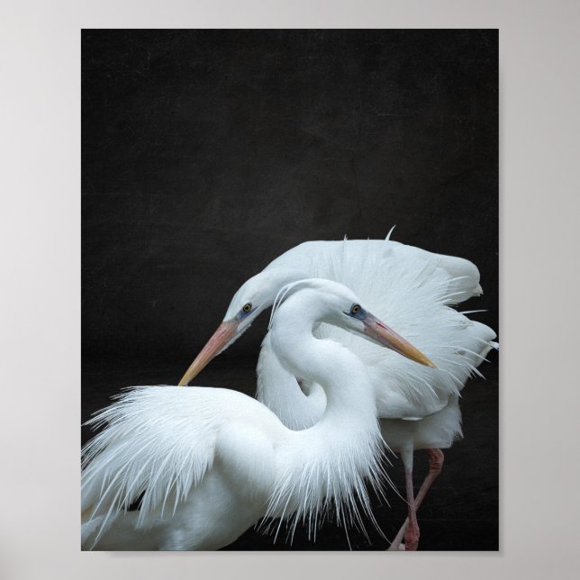 Svartvit öron Tropical Printable Art Poster (Framsidan)