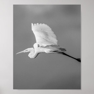 Svartvit öron Tropical Printable Art Poster