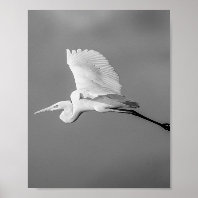 Svartvit öron Tropical Printable Art Poster (Framsidan)