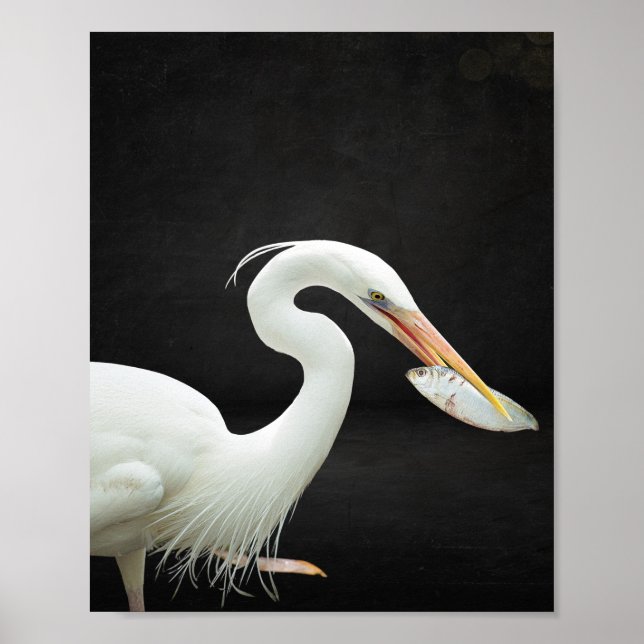 Svartvit öron Tropical Printable Art Poster (Framsidan)