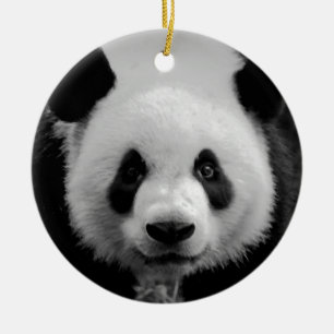 Svartvit Panda Bear Julgran Ornament