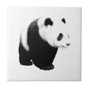Svartvit Panda Kakelplatta