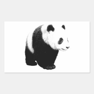Svartvit Panda Rektangulärt Klistermärke