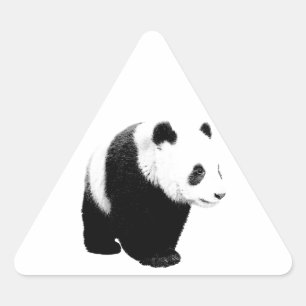 Svartvit Panda Triangelformat Klistermärke