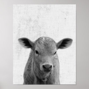 Svartvit Peekaboo Cow Minimalist Nursery Poster