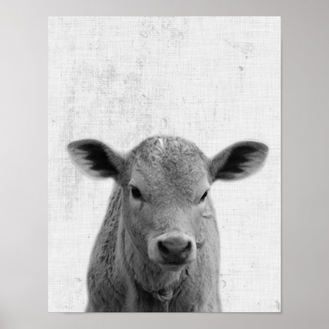 Svartvit Peekaboo Cow Minimalist Nursery Poster (Framsidan)
