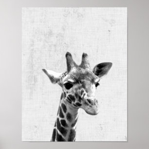 Svartvit Peekaboo Giraffe Minimalist Nursery Poster
