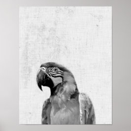 Svartvit Peekaboo Parrot Minimalist Nursery Poster