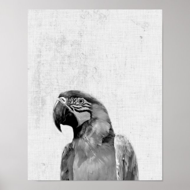 Svartvit Peekaboo Parrot Minimalist Nursery Poster (Framsidan)