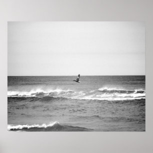 Svartvit pelikan som flyger över Oceanen 16 x 20 Poster