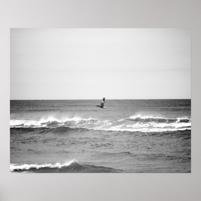 Svartvit pelikan som flyger över Oceanen 16 x 20 Poster (Framsidan)