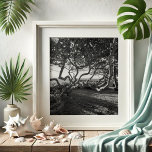 Svartvit persika Bilder, havsdruvor Poster<br><div class="desc">Förbättra din livsmiljö med den lugn skönheten hos Jupiter Beach, Florida, som har fångats i Victoria Grigaliunas fantastiska väggkonst. Den här svarta och vita fotografiet poster en bild av de invecklade detaljerna för havsdruvor, vilket ger en liten bit kustelegans till din hemdekoration. Perfekt för både älskare och konstentusiaster, dessa tidlösa...</div>