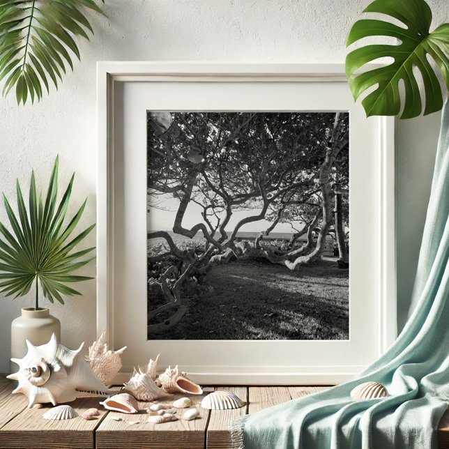 Svartvit persika Bilder, havsdruvor Poster (Beach pictures Jupiter, Florida sea grapes by Victoria Grigaliunas of Do Tell A Belle)