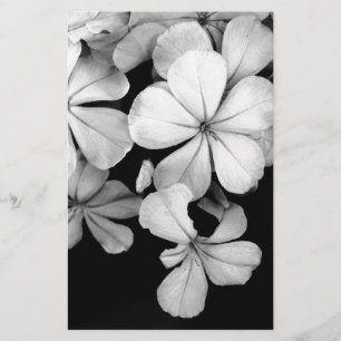 svartvit plumbago brevpapper