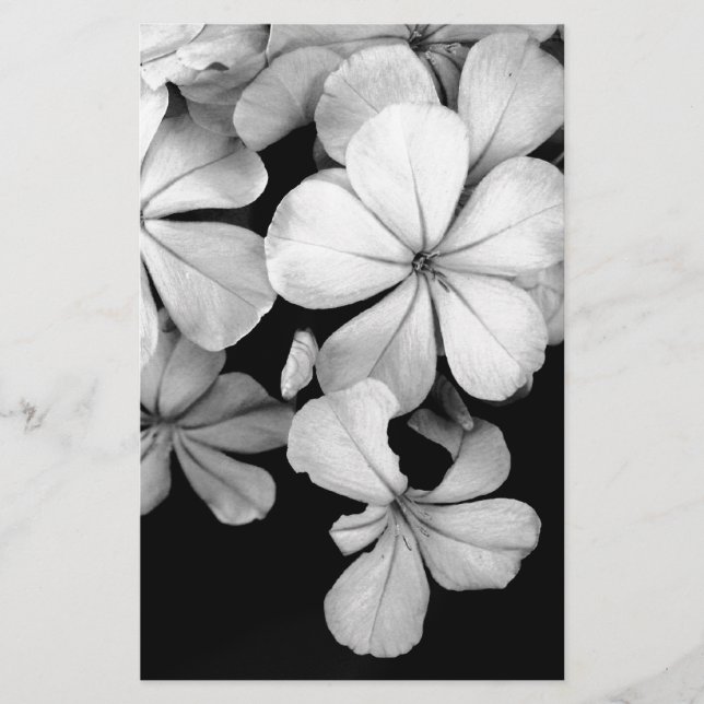 svartvit plumbago brevpapper (Framsida)