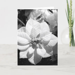 Svartvit poinsettia-julkort helgkort