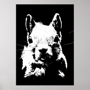 Svartvit poppekorrel poster