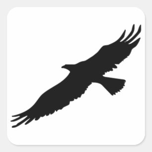 Svartvit poppsbild Eagle Fyrkantigt Klistermärke