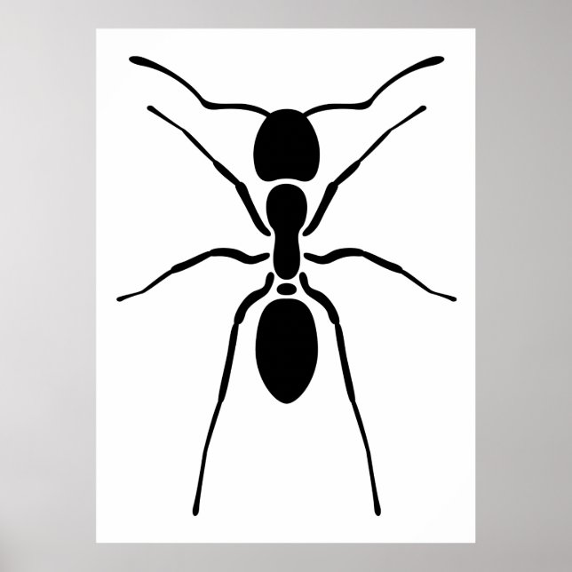 Svartvit Poster (Framsidan)