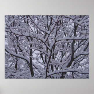 Svartvit Poster