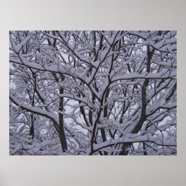 Svartvit Poster (Framsidan)