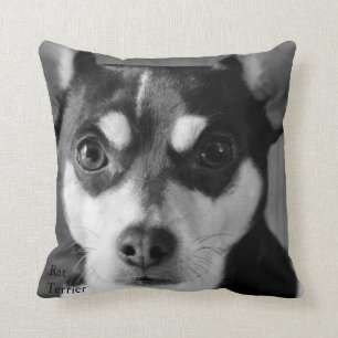 Svartvit råttaTerrier Kudde