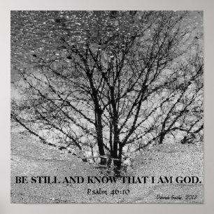 Svartvit reflektion från träd poster