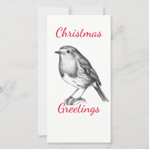 Svartvit robin