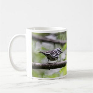 Svartvit sångare kaffemugg