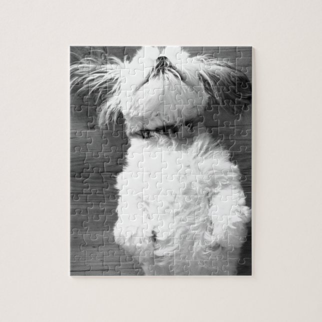 Svartvit Shih-Tzu valp Pussel (Vertikal)