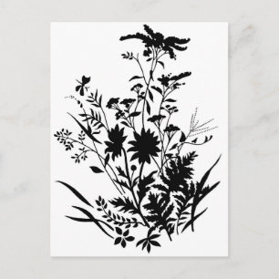 Svartvit Silhouette-Blommigt...vykort Vykort