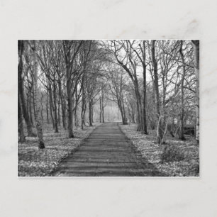 Svartvit skog vykort