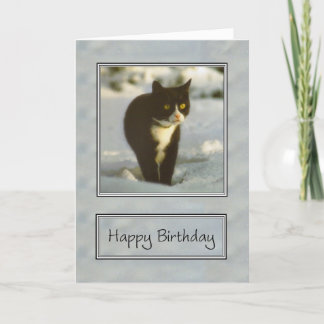 Svartvit snö kitten grattis på födelsedagen kort
