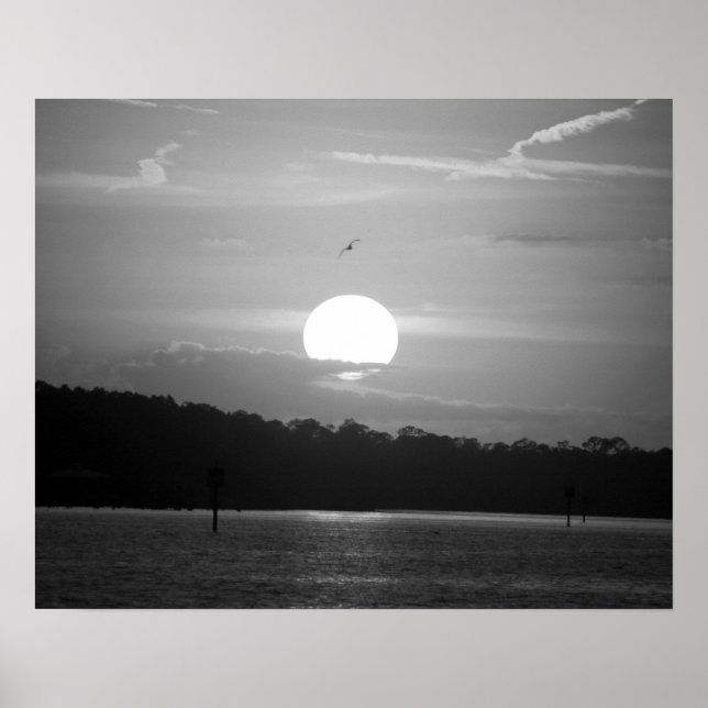 Svartvit solnedgång på Bay-Vågrät 16 x 20 Poster (Framsidan)