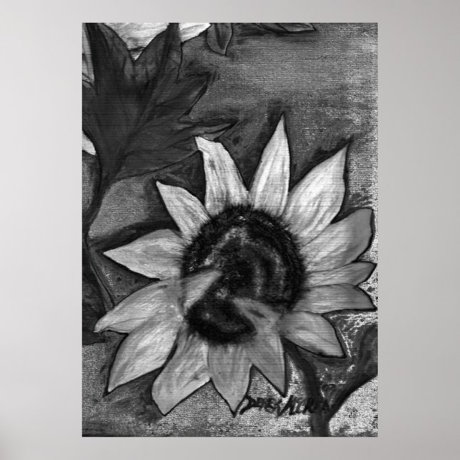 Svartvit solrosmålning modern poster (Framsidan)