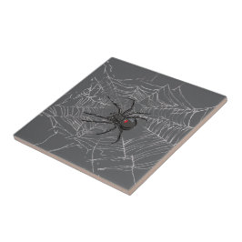Svartvit spider och Spindelnät Teckning Art Kakelplatta